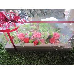 pomme rouge�i�|�����E���[�W���j