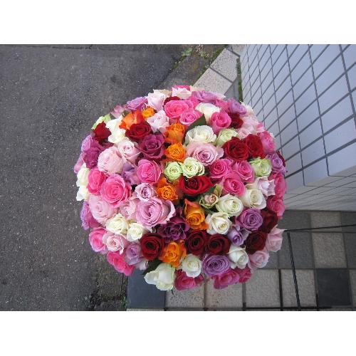La Vie en Rose�@���E���B�E�A���E���[�Y2
