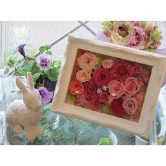 felicita�i�t�F���`�^�j