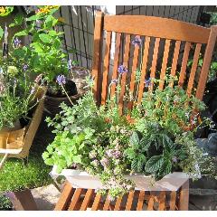 jardinet -�W�����f�B�l�[�@���̏����Ȃ���