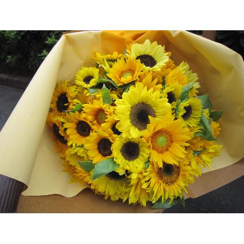 Many kisses on Mothers��Fathers Day2