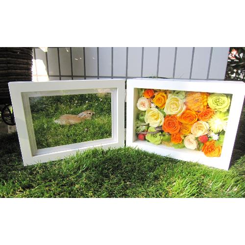 Fairy garden�@�i�t�F�A���[ �K�[�f���j