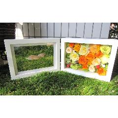 Fairy garden�@�i�t�F�A���[ �K�[�f���j