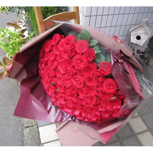 ROSERAIE�@�i���Y���j�@100�{�̐Ԃ��o��