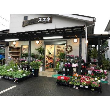 �X�܊O�ω摜