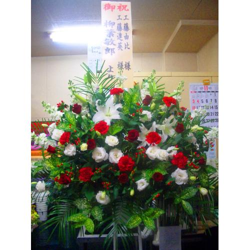 �j�X�^���h��