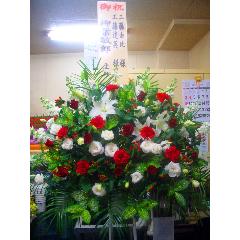 �j�X�^���h��