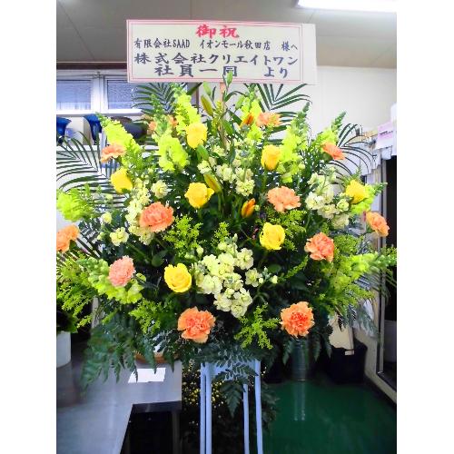 �j�X�^���h�ԁ@�y��Ȕz�B�n��F�H�c���H�c�s�z