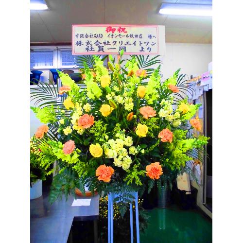 �j�X�^���h�ԁ@�y��Ȕz�B�n��F�H�c���H�c�s�z2