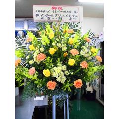 �j�X�^���h�ԁ@�y��Ȕz�B�n��F�H�c���H�c�s�z