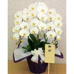 �Ӓ����i�������E�ʖ�E���V�E���ʎ��j