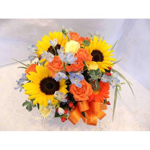 ���ʉ��i �q�L����� �J�[�l �s���N2