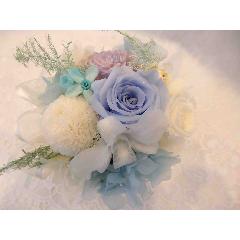 �`Forget me not�`�����ƖY��Ȃ���