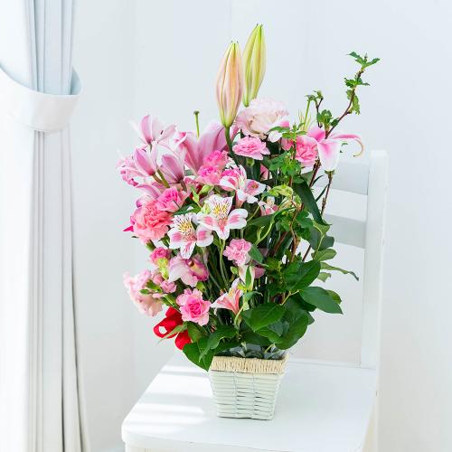 �����ƃ����̃S�[�W���X�A�����W�����g3