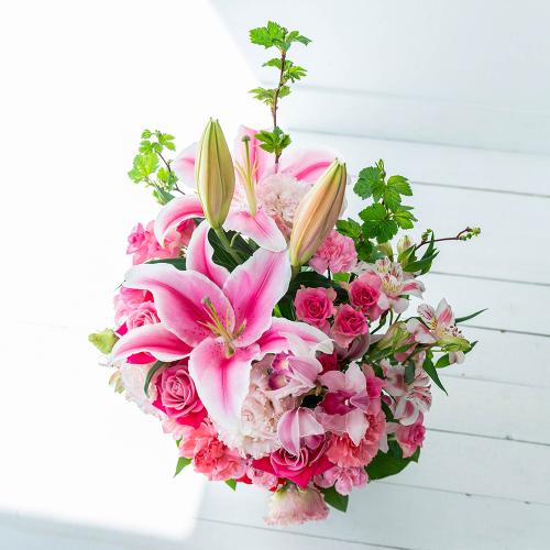 �����ƃ����̃S�[�W���X�A�����W�����g4