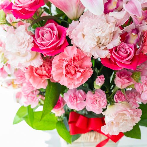 �����ƃ����̃S�[�W���X�A�����W�����g7