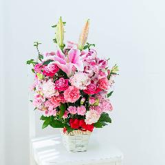 �����ƃ����̃S�[�W���X�A�����W�����g
