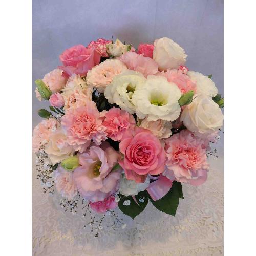 �D���ȃA�����W�����g3