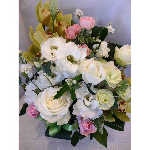 �S�Ȃ��ރz���C�g�n2