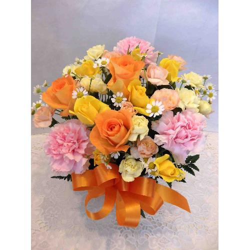 �`�I�����W�E�X�B�[�g�`