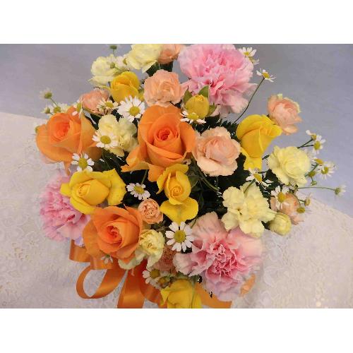 �`�I�����W�E�X�B�[�g�`2