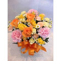 �`�I�����W�E�X�B�[�g�`