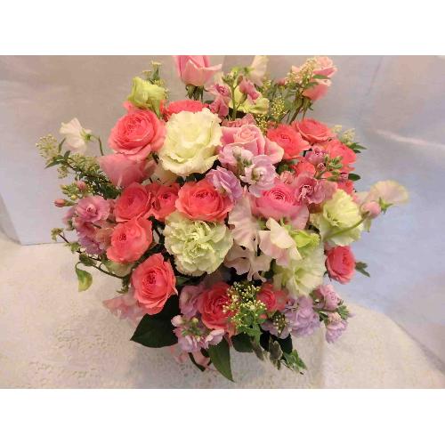 �N���b�V�|�`�o���̃A�����W�����g�`