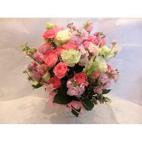 �N���b�V�|�`�o���̃A�����W�����g�`2