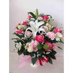 �`�A�j�o�[�T���[�`�J�T�u�����J�̃A�����W�����g
