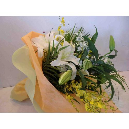 �v���U�[�u�h�t�����[���C��2