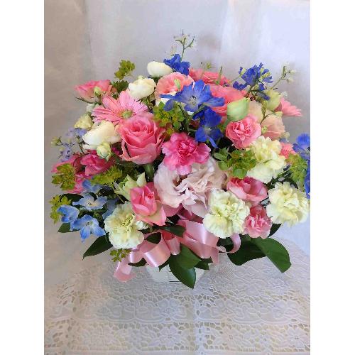 ����₩�M�t�g�`���敗�̃A�����W�����g�`2