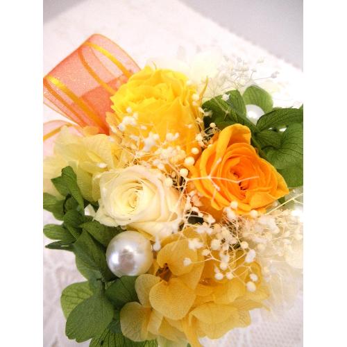�p�[���I�����W�`�v���U�[�u�h�t�����[�@�`2