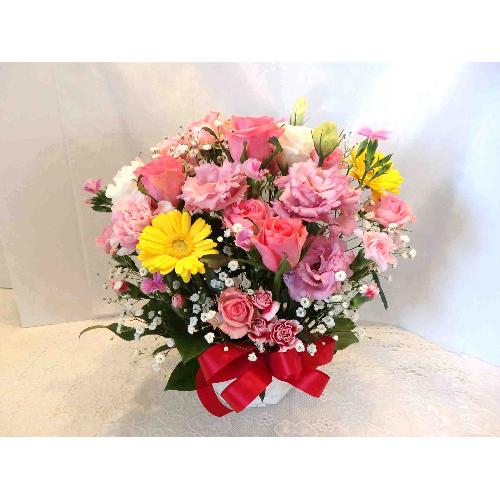 �\�l�b�g�`�s���N�̃A�����W�����g�`3