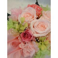 �`�s���N���[�Y�`�v���U�[�u�h�A�����W