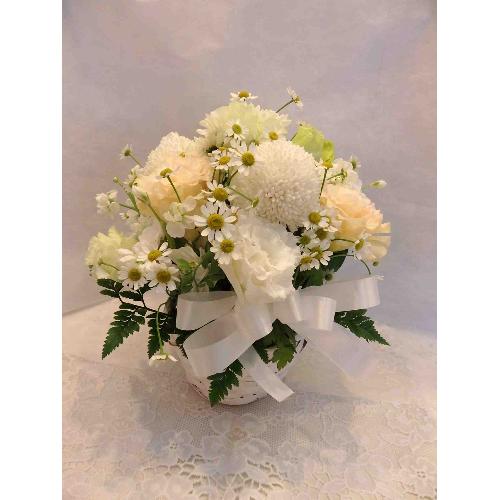 �s���|���}���̉����������A�����W�����g2