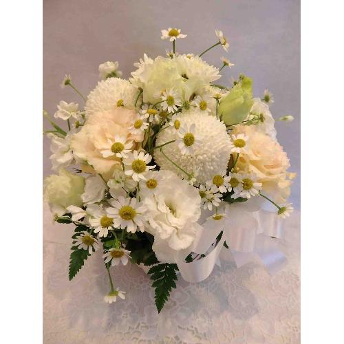 �s���|���}���̉����������A�����W�����g3