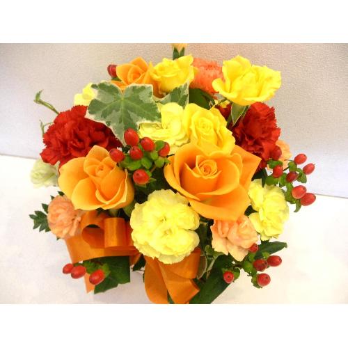 �`�p���I�`�I�����W�̃o���̃A�����W�����g