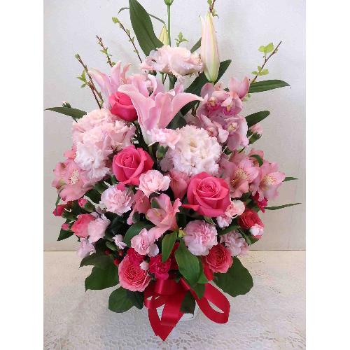 �����ƃV���r�W���[���̃S�[�W���X�A�����W�����g2