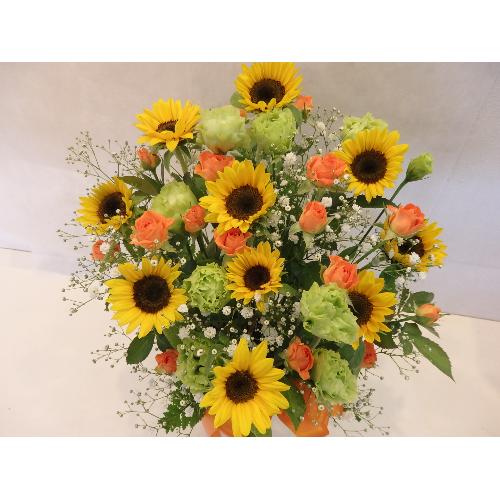 �y�I�X�X���z�@�Ђ܂�肢���ς��̃A�����W�����g2