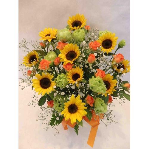 �y�I�X�X���z�@�Ђ܂�肢���ς��̃A�����W�����g3