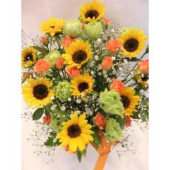 �y�I�X�X���z�@�Ђ܂�肢���ς��̃A�����W�����g