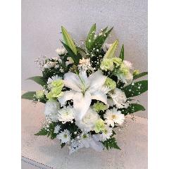 �������A�����W�����g�y�u�����E�G�E���F�[���z