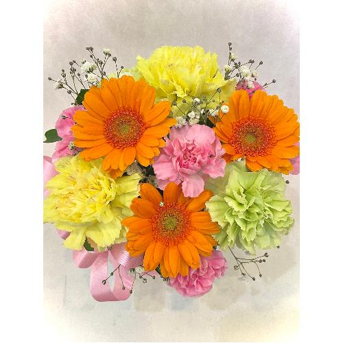 ����ς�o���I�yLe Rose(�� ���[�[�j�k �r�r�b�h�z1