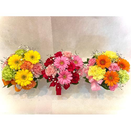 �ymama �� merci  petite�z�@�`�C�G���[�`3