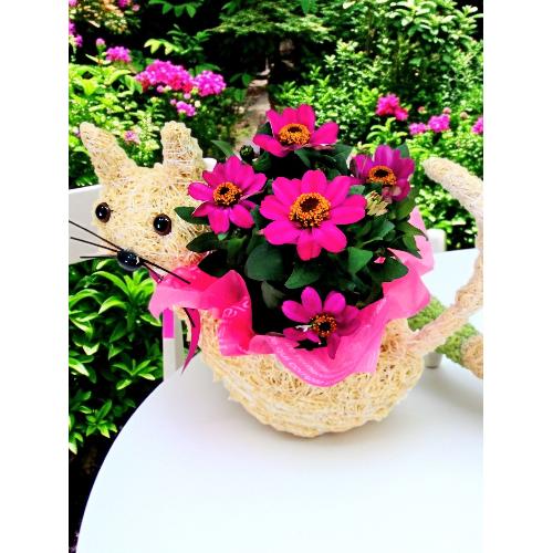 ���̓��ɃI�X�X���@�l�R�����o�X�P�b�g�@2