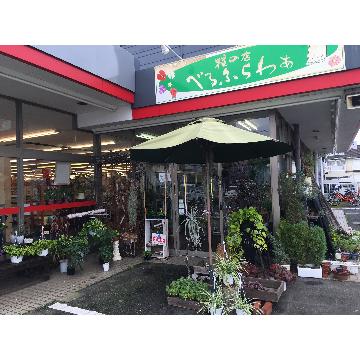 �X�܊O�ω摜