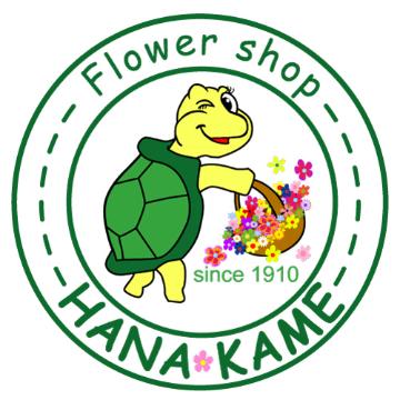 ���̑��摜