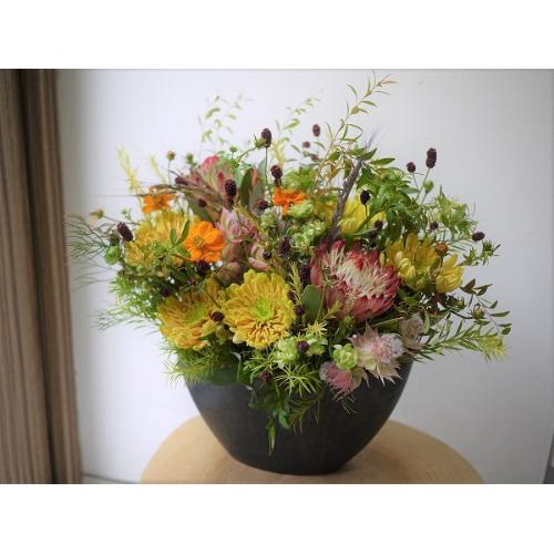 �C�G���[�I�����W�n�M�`�A�����W