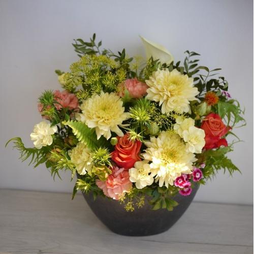 �C�G���[�I�����W�n�M�`�A�����W5
