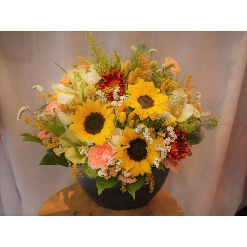 �C�G���[�I�����W�n�M�`�A�����W6